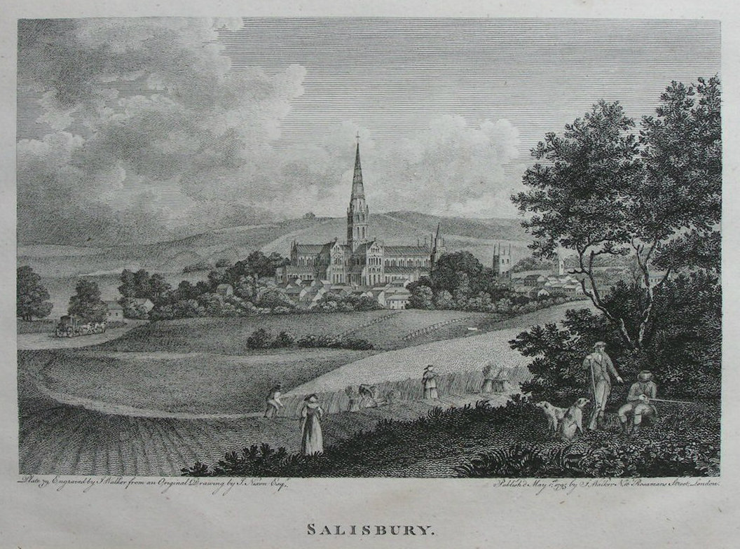 Print - Salisbury - Walker